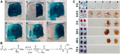 Biomimetic Hydrogels to Promote Wound Healing